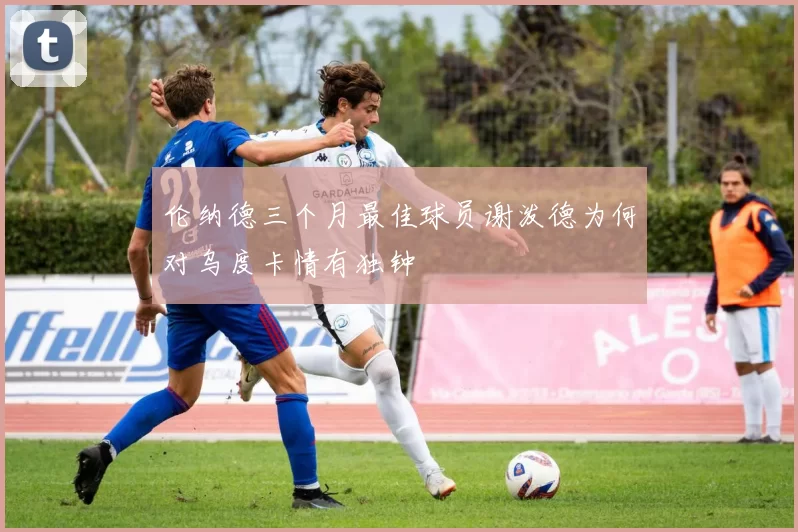 伦纳德三个月最佳球员谢泼德为何对乌度卡情有独钟